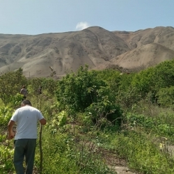 Vendo terreno al Sur de Lima