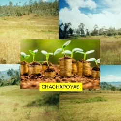 VENTA DE TERRENO EN CHACHAPOYAS