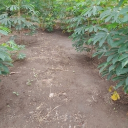 Lotes de terreno 