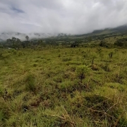 Terreno en venta OXAPAMPA