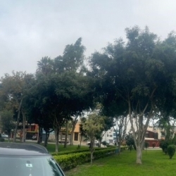 VENDO DEPARTAMENTO EN BELLAVISTA 