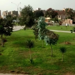 OCASION VENDO DPTO FRENTE A PARQUE 2 DORM URB. COVITI SMP