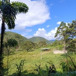 Hermoso Terreno en el Campo Selva Central 
