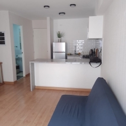 ALQUILO DEPA AMOBLADO EJECUTIVO NEGOCIOS O PAREJA SIN HIJOS.