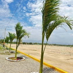 PROYECTO LA ARBOLEDA VILLA CLUB, MOTUPE