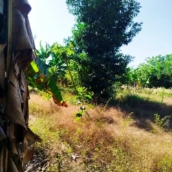 Venta de lotes de terreno 