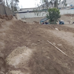 SE VENDE TERRENO DE 1.2 HAS EN LURÍN, BUENA VISTA 