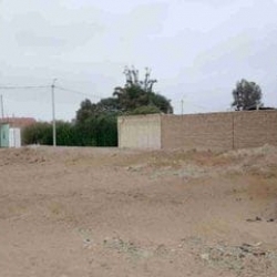SE REMATA TERRENO EN CHINCHA, OCASIÓN 