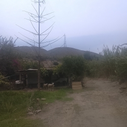 Vendo casita de campo en construcción 