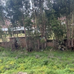 Se vende terreno en Concepción, Junín 