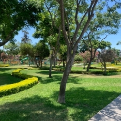 Vendo casa para remodelar o como terreno en San Borja