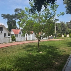 Alquiler de mini departamento en Pueblo Libre 