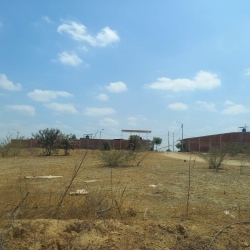 Vendo Terreno 360 m² en ADUS Sullana – 18 m de frente salida directa a la Panamericana