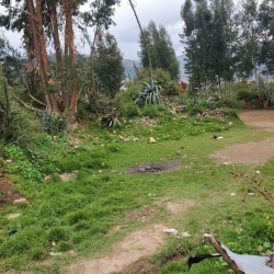  VENTA DE TERRENO URBANO-HUARAZ